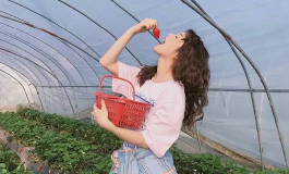 白羊座2024年10月财运运势