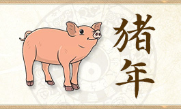 2024年生肖猪将有大事发生 属猪2024年运程及运势详解