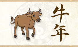 2025年属牛人的全年运势 属牛人2025运势运程详解