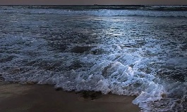 mbti最稀少的人格排行 mbti最稀少的人格