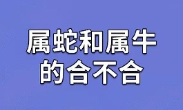 属蛇和属牛配不配？性格互补还是冲突