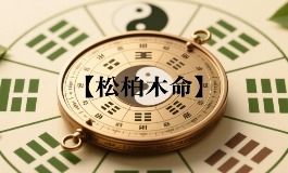 松柏木命适合什么行业？发财方向与事业运势全解析