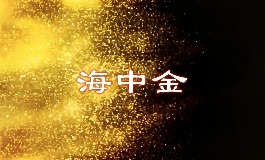 海中金命是什么意思？全面解析命格性格与运势