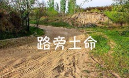 路旁土命的女孩，一生命运怎么样