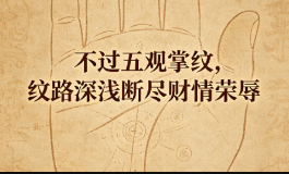 不过五观掌纹，纹路深浅断尽财情荣辱
