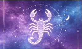11月15日是什么星座，哪些人最适合相配