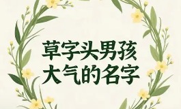 草字头男孩名字推荐，好听又有好寓意