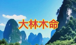 大林木命是什么意思，戊辰己巳纳音详解