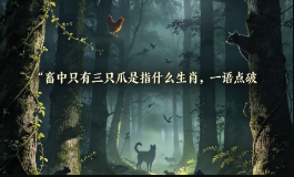 畜中只有三只爪是指什么生肖，一语点破