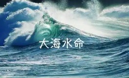 大海水命是什么等级？性格财运五行详解