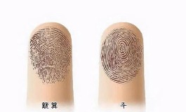 十个斗和十个簸箕，指纹手相详解