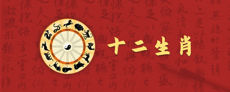 3-老虎.jpg